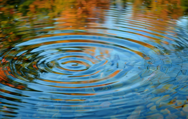 南青山アンティーク通りクリニック院長のブログ黄昏波紋